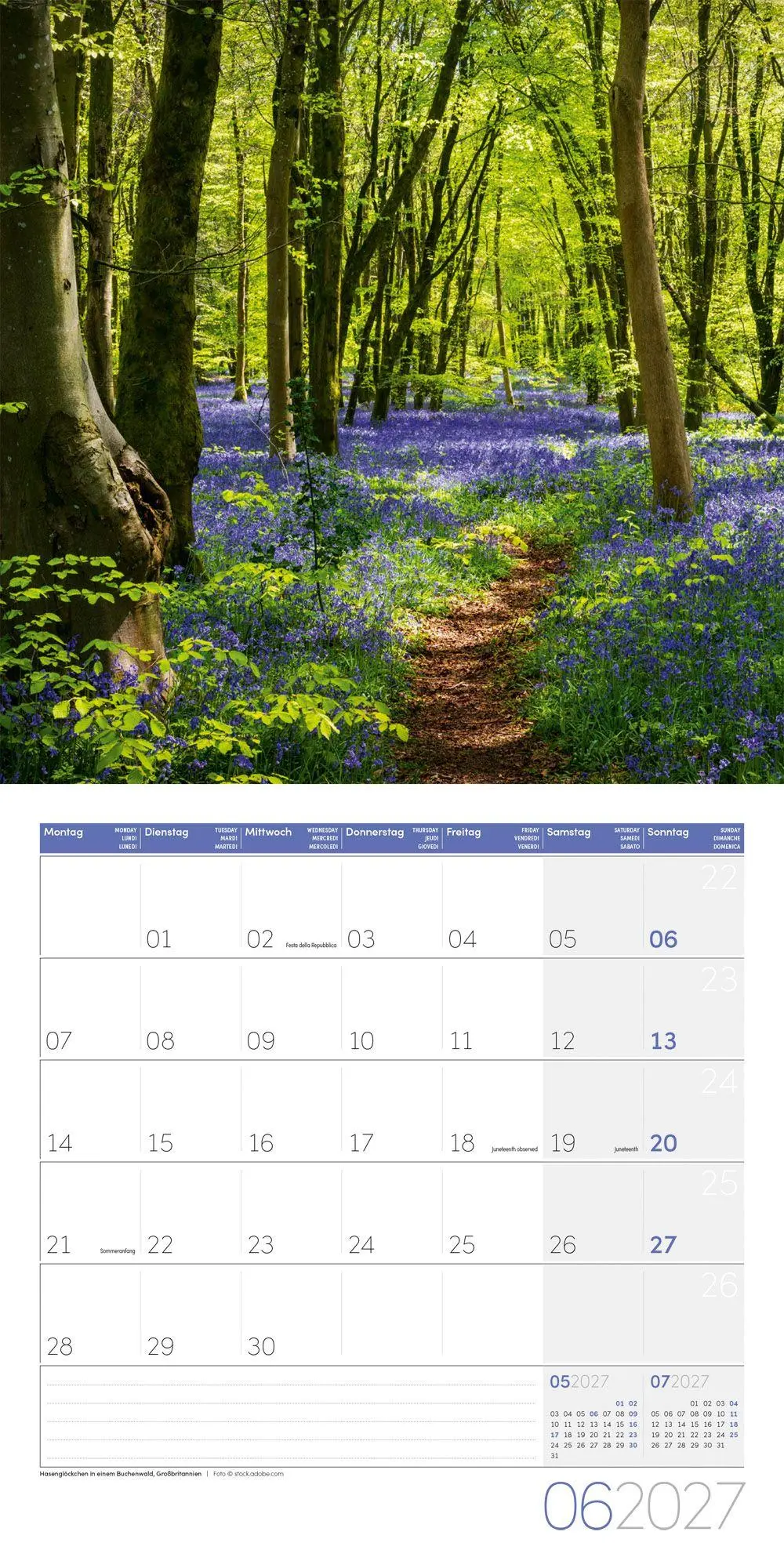 Bild: 9783838447049 | Traumpfade Kalender 2027 - 30x30 - Art12 | Ackermann Kunstverlag GmbH