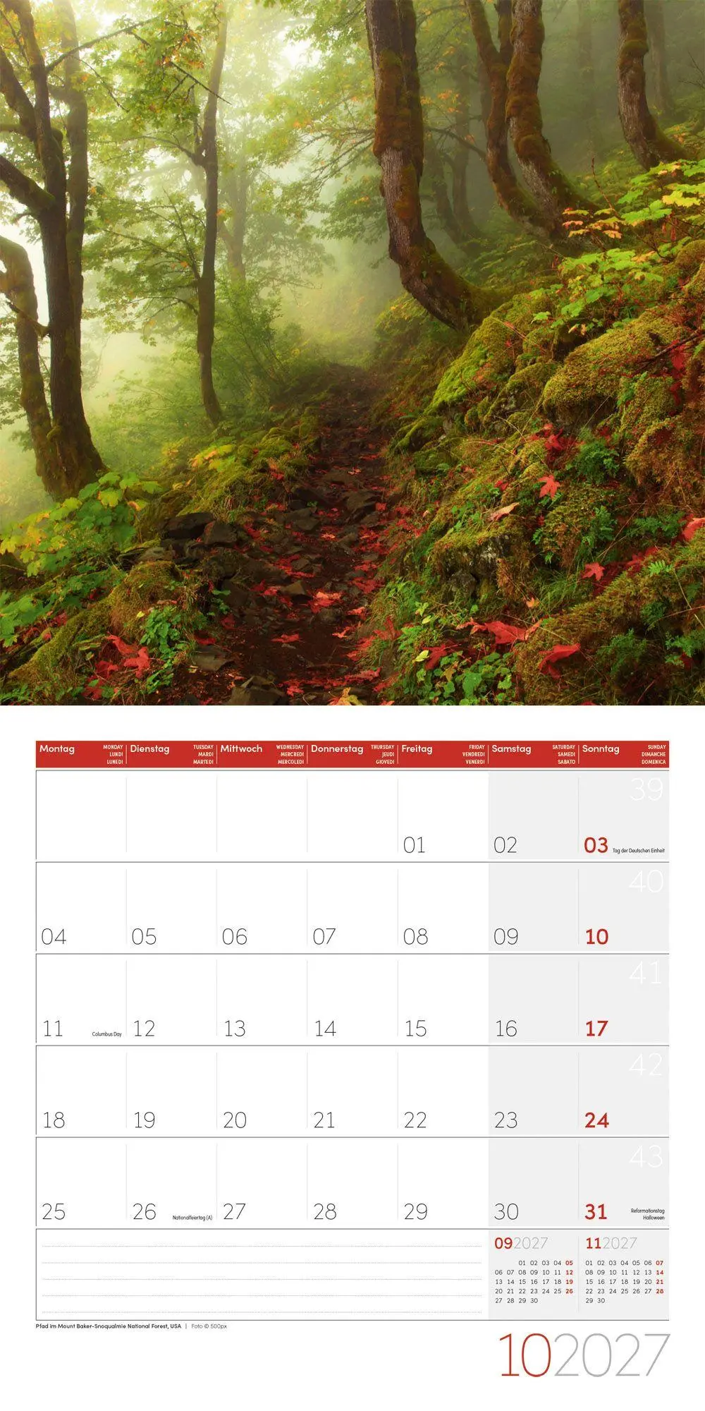 Bild: 9783838447049 | Traumpfade Kalender 2027 - 30x30 - Art12 | Ackermann Kunstverlag GmbH