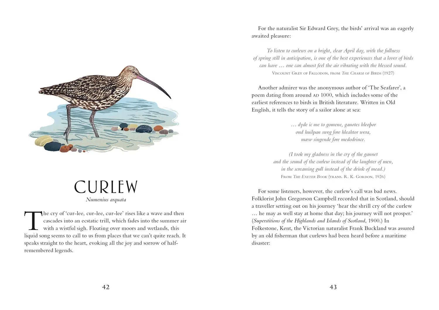 Bild: 9781911657149 | Britain's Birds | A Treasury of Fact, Fiction and Folklore | Buch