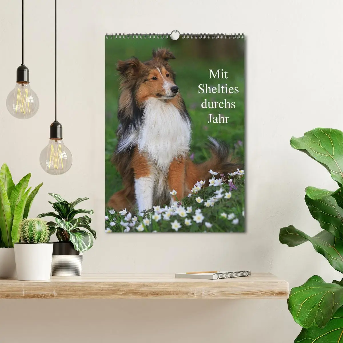 Bild: 9783516447149 | Mit Shelties durchs Jahr (Wandkalender 2026 DIN A3 hoch), CALVENDO...
