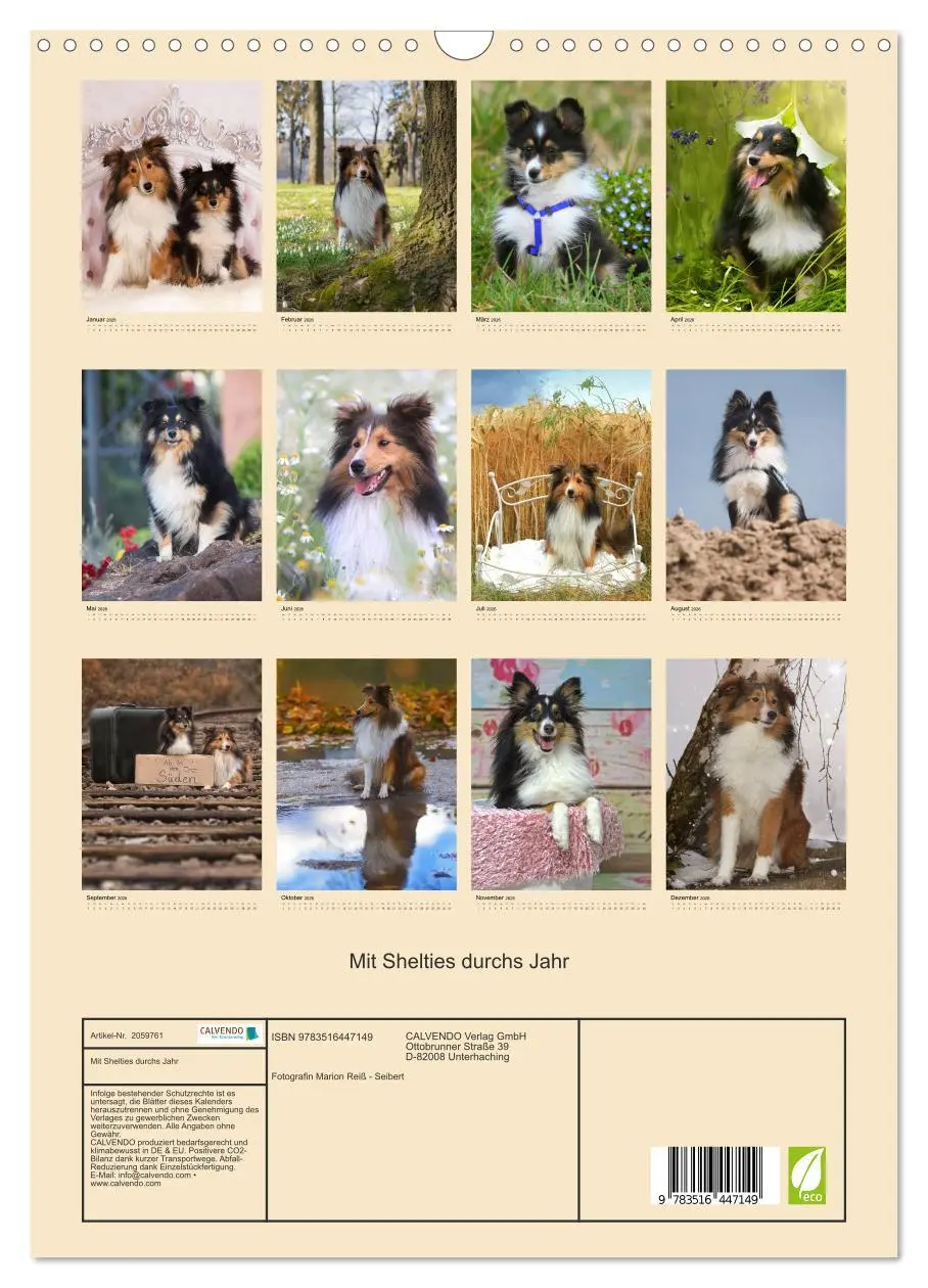 Bild: 9783516447149 | Mit Shelties durchs Jahr (Wandkalender 2026 DIN A3 hoch), CALVENDO...