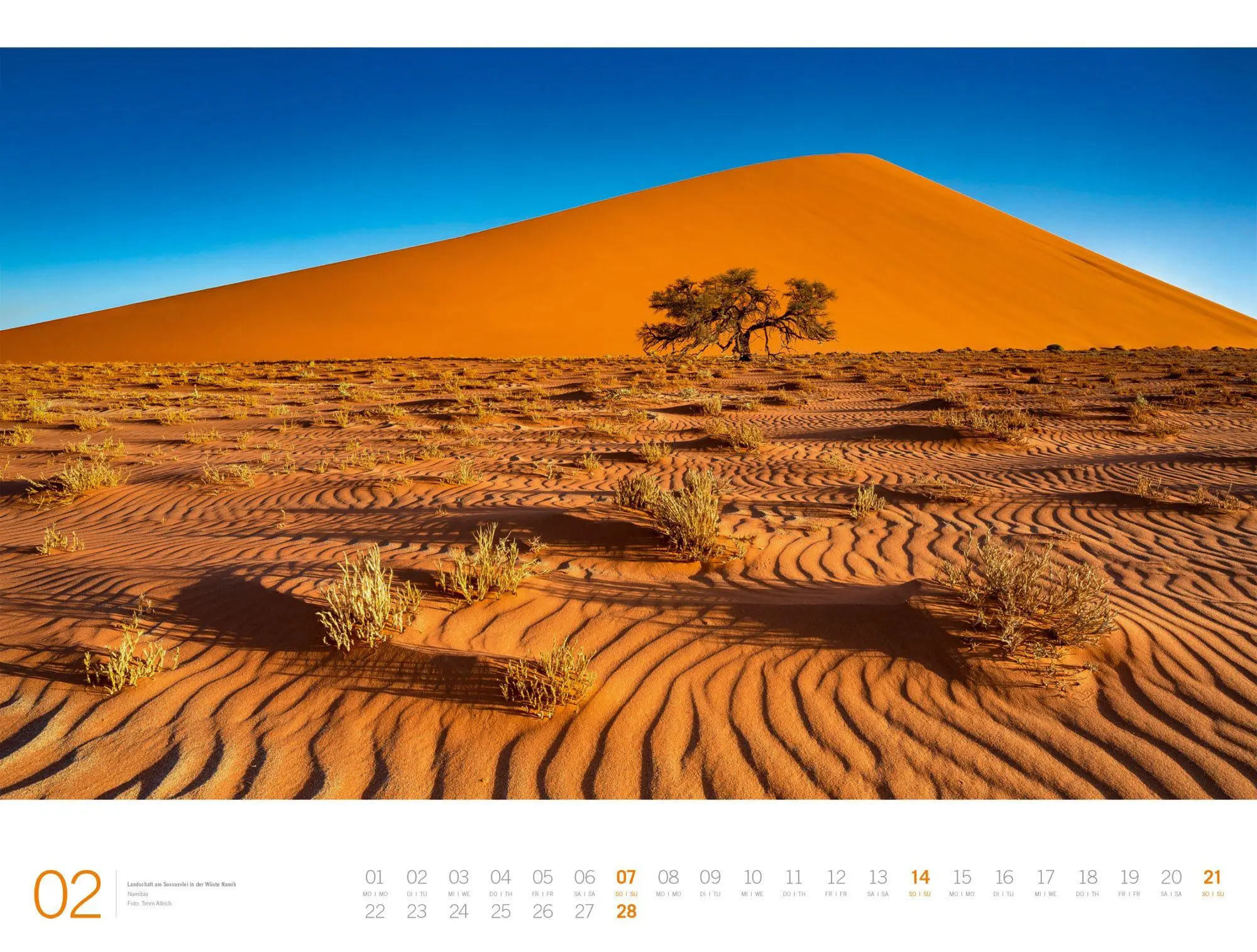 Bild: 9783838437149 | Planet Earth Gallery Kalender 2027 | Ackermann Kunstverlag GmbH | 2027