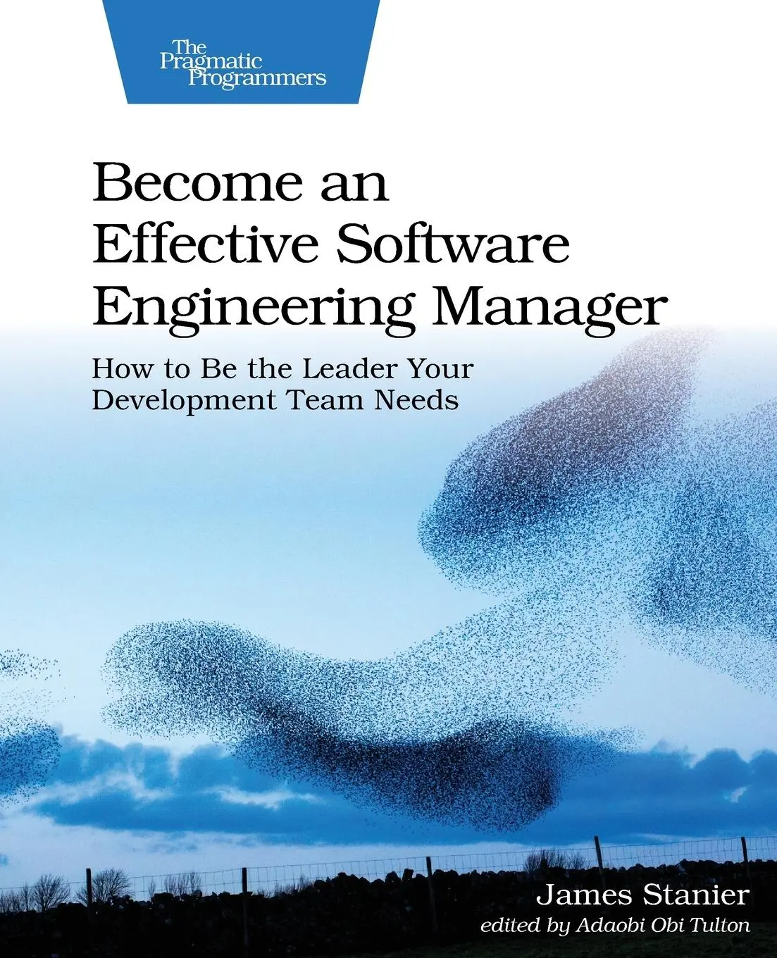 Cover: 9781680507249 | Become an Effective Software Engineering Manager | Stanier | Buch
