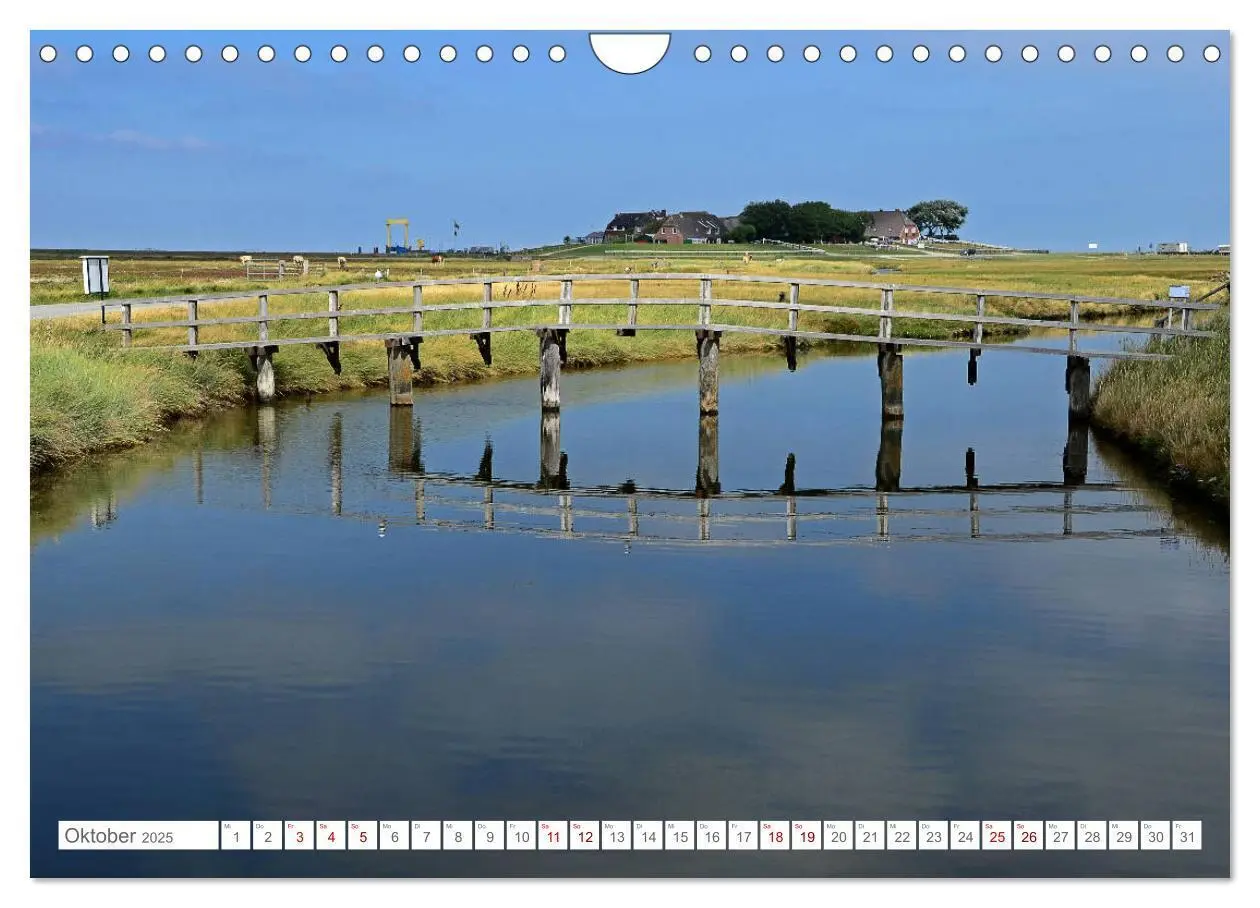 Bild: 9783435257249 | Sommertage auf Hallig Hooge (Wandkalender 2025 DIN A4 quer),...