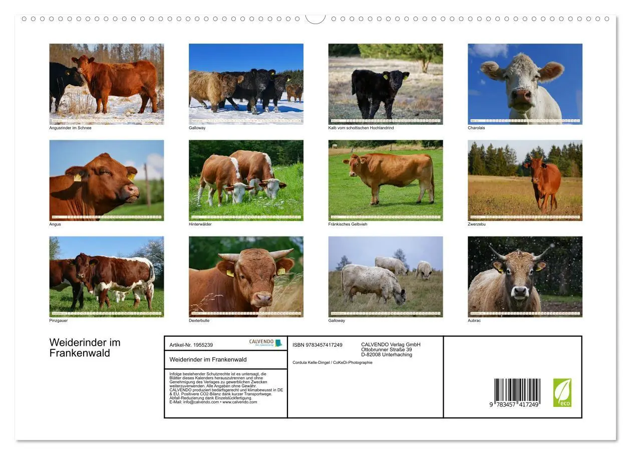 Bild: 9783457417249 | Weiderinder im Frankenwald (hochwertiger Premium Wandkalender 2026...