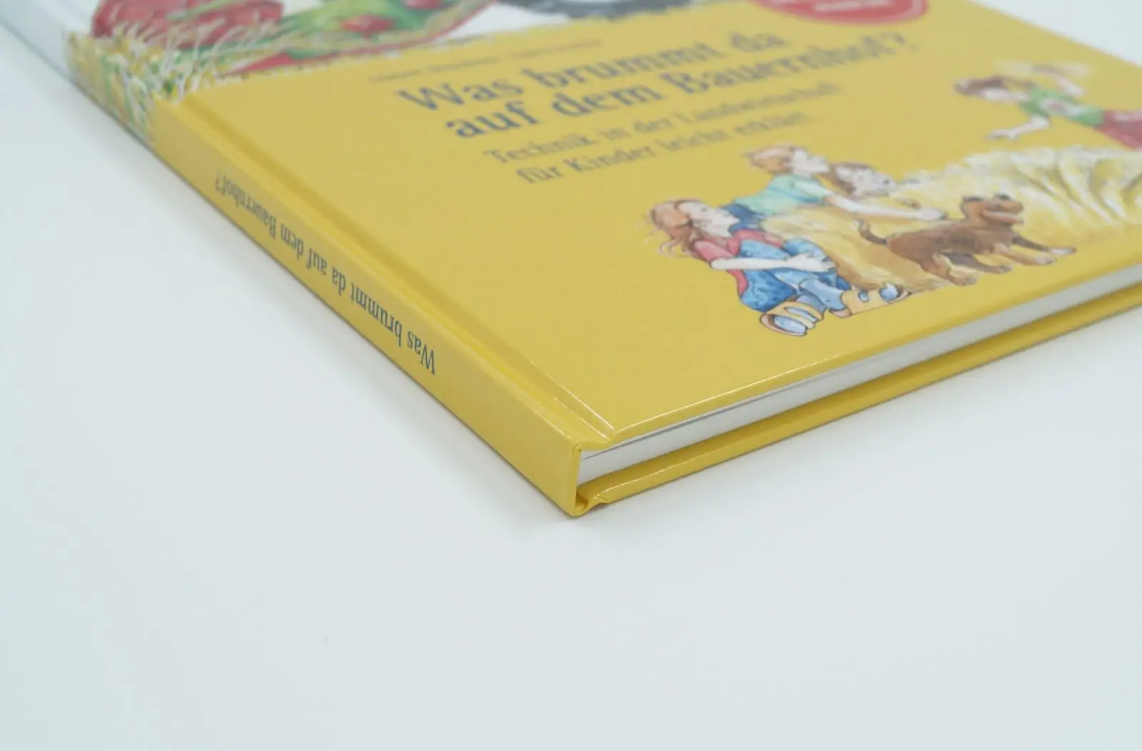 Bild: 9783784357249 | Was brummt da auf dem Bauernhof? | Gabi Cavelius (u. a.) | Buch | 2022