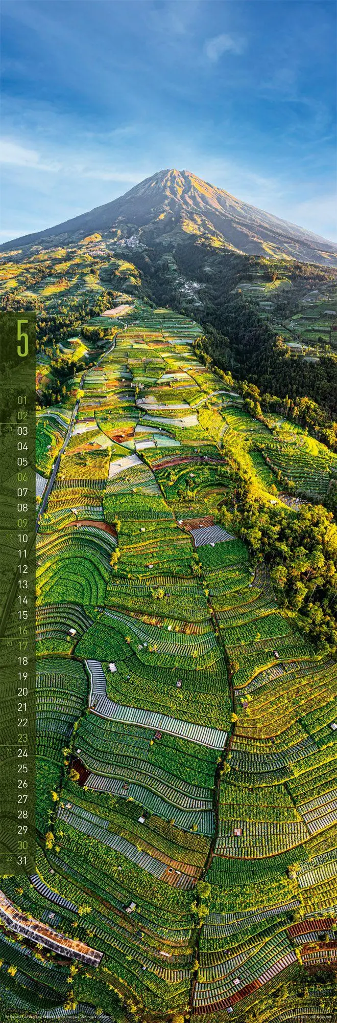 Bild: 9783838427249 | Terra Kalender 2027 | Ackermann Kunstverlag GmbH | Kalender | 14 S.