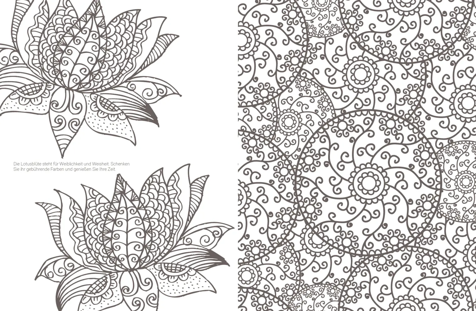 Bild: 9783863557249 | Inspiration Bollywood | 50 indische Motive kolorieren | Taschenbuch Bild: 9783863557249 | Inspiration Bollywood | 50 indische Motive kolorieren | Taschenbuch