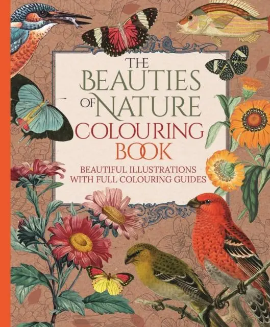Cover: 9781398827349 | The Beauties of Nature Colouring Book | Tansy Willow | Taschenbuch