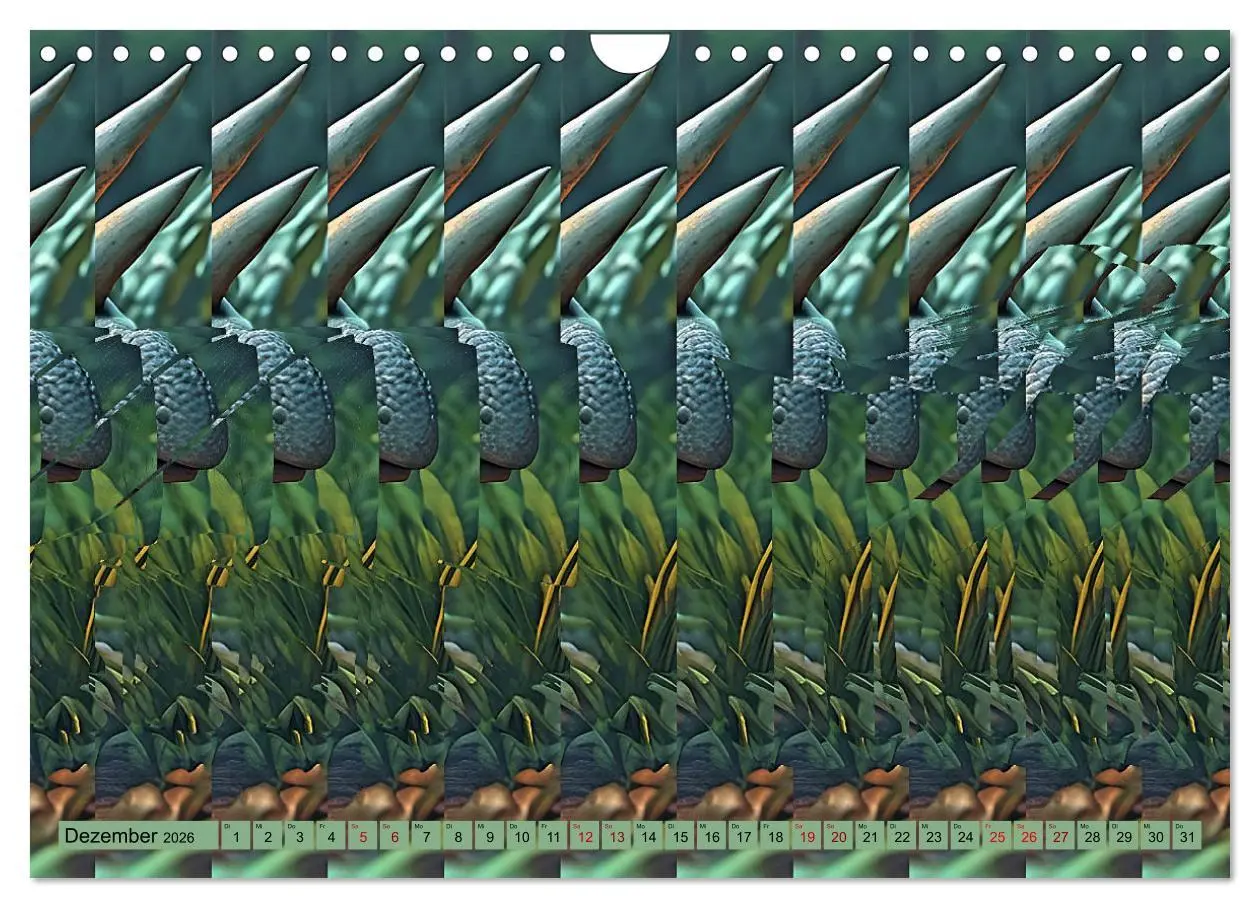 Bild: 9783457337349 | Magische Bilder - fantastische Stereogramme (Wandkalender 2026 DIN...