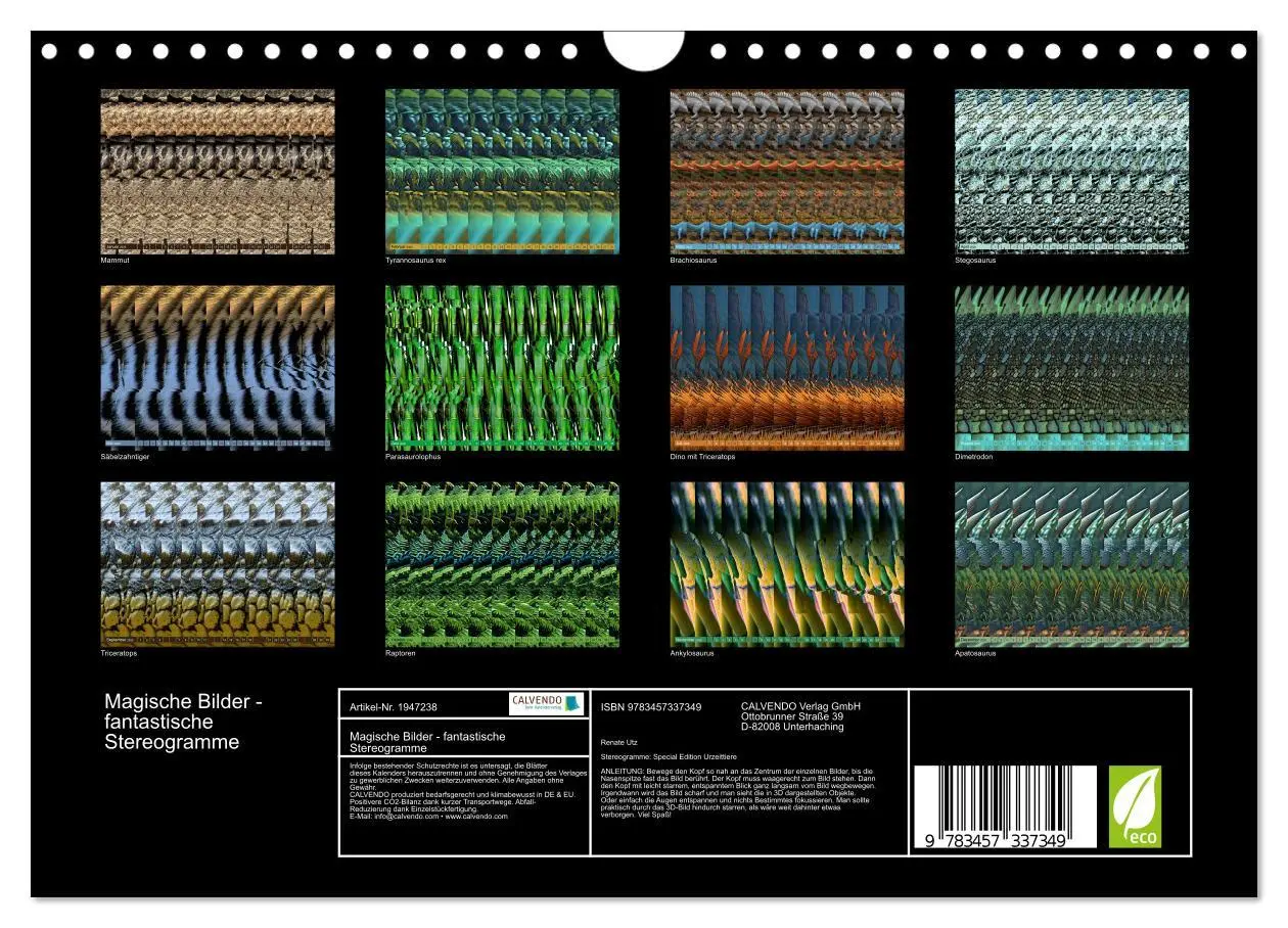 Bild: 9783457337349 | Magische Bilder - fantastische Stereogramme (Wandkalender 2026 DIN...