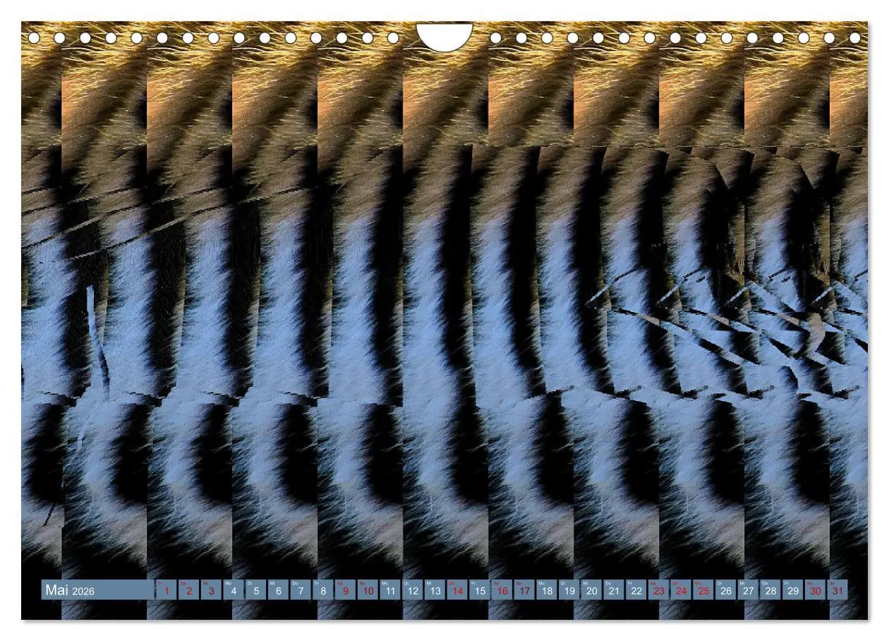 Bild: 9783457337349 | Magische Bilder - fantastische Stereogramme (Wandkalender 2026 DIN...