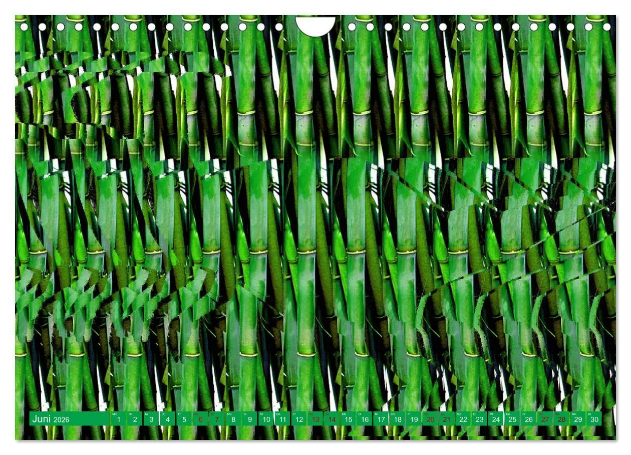 Bild: 9783457337349 | Magische Bilder - fantastische Stereogramme (Wandkalender 2026 DIN...