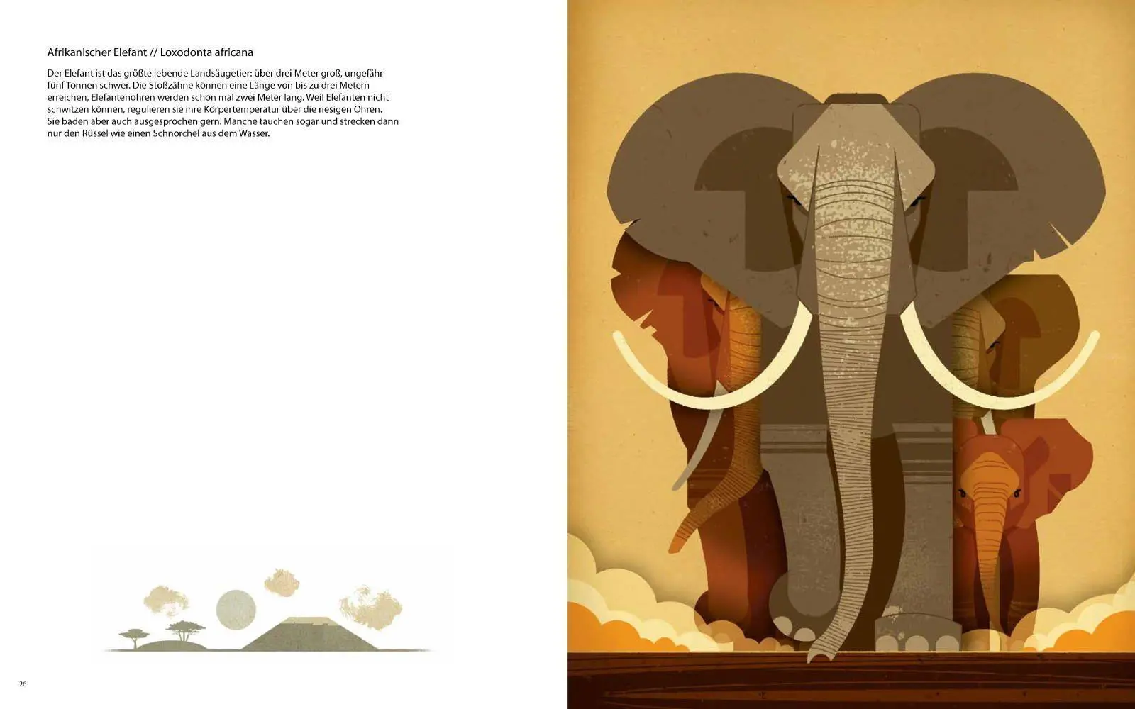 Bild: 9783868737349 | Die Welt der wilden Tiere | Im Süden | Dieter Braun | Buch | 144 S.