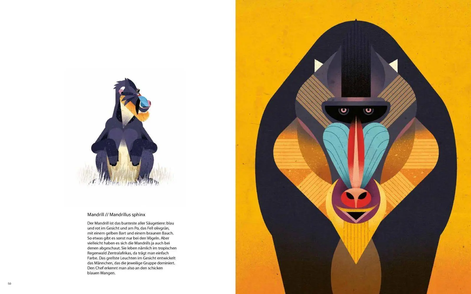 Bild: 9783868737349 | Die Welt der wilden Tiere | Im Süden | Dieter Braun | Buch | 144 S.