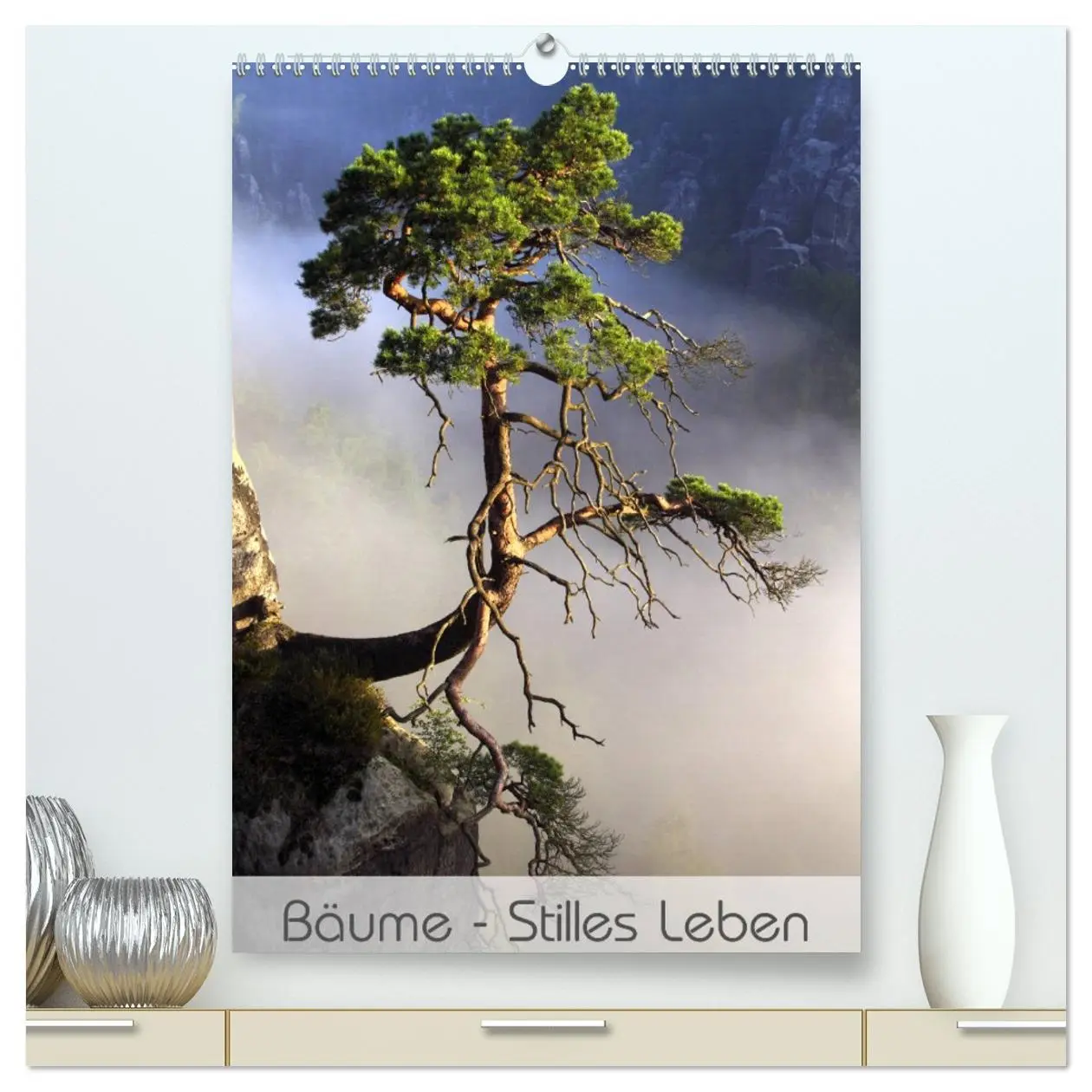 Cover: 9783516417449 | Bäume - Stilles Leben (hochwertiger Premium Wandkalender 2026 DIN...