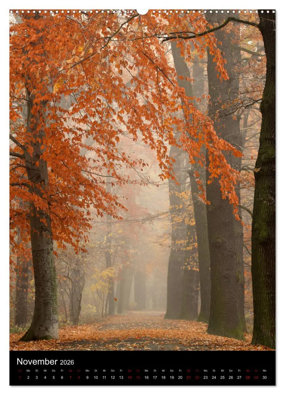 Bild: 9783516417449 | Bäume - Stilles Leben (hochwertiger Premium Wandkalender 2026 DIN...