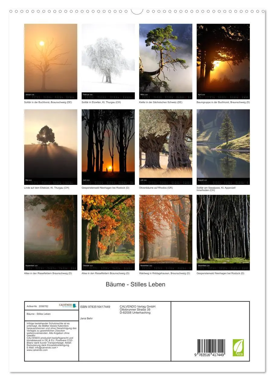Bild: 9783516417449 | Bäume - Stilles Leben (hochwertiger Premium Wandkalender 2026 DIN...