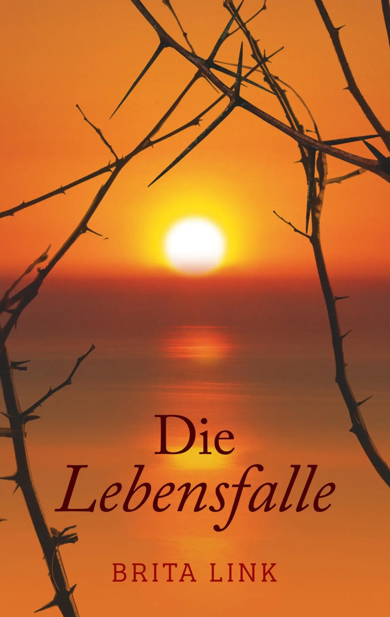 Cover: 9783744897549 | Die Lebensfalle | Ein Roman mit biografischen Zügen | Brita Link