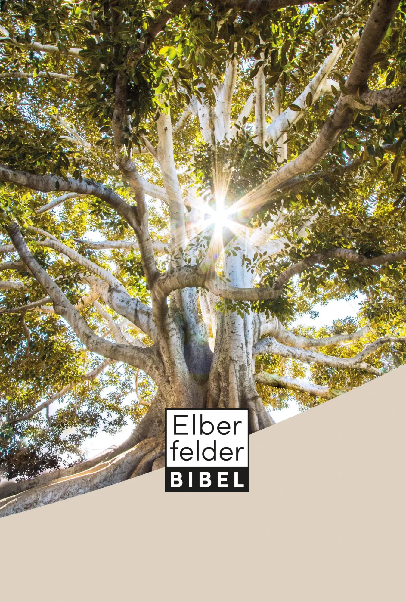 Cover: 9783417257649 | Elberfelder Bibel - Standardausgabe, Motiv Baum | Buch | 1616 S.