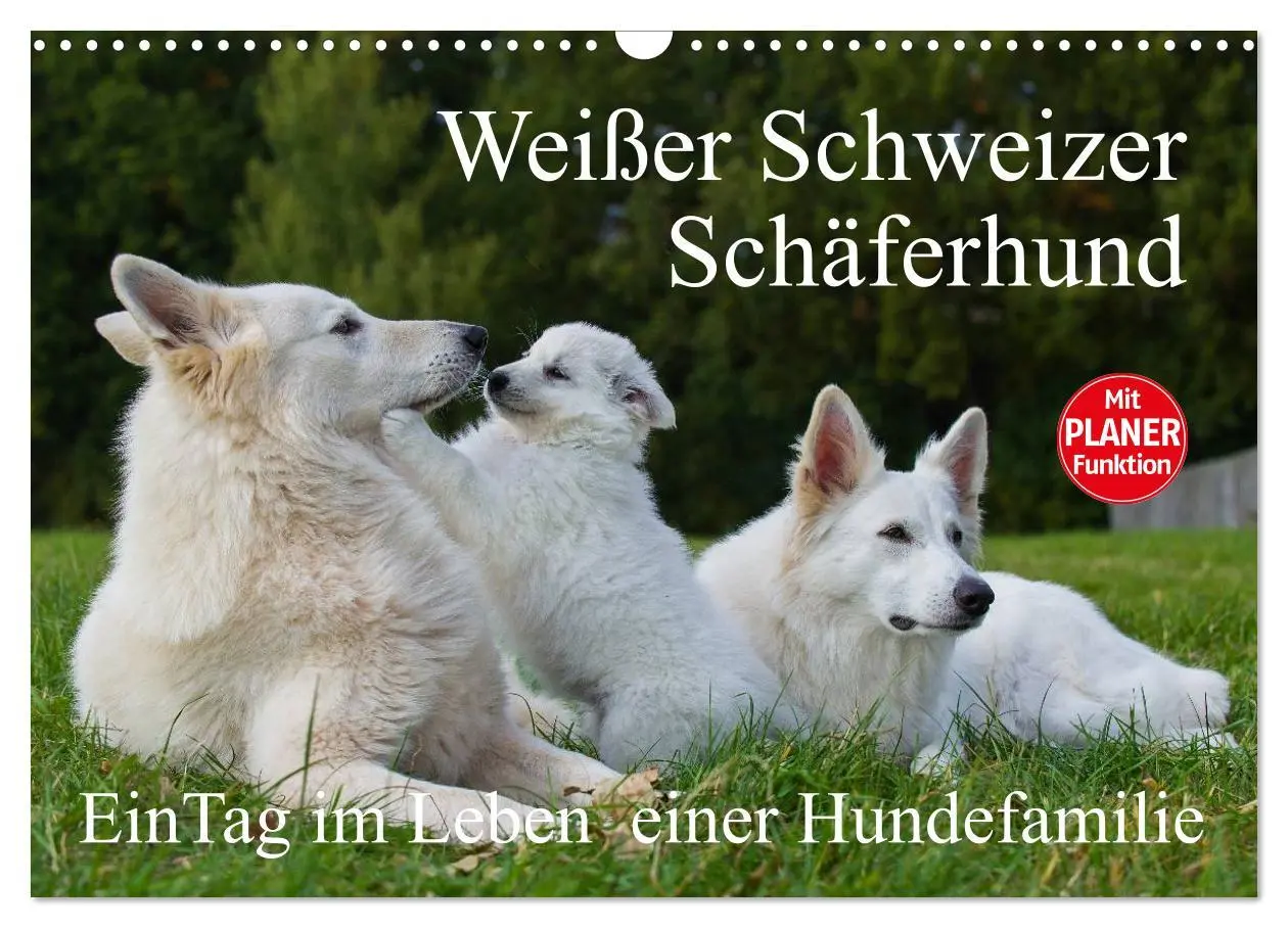 Cover: 9783516007749 | Weißer Schweizer Schäferhund - Ein Tag im Leben einer Hundefamilie...