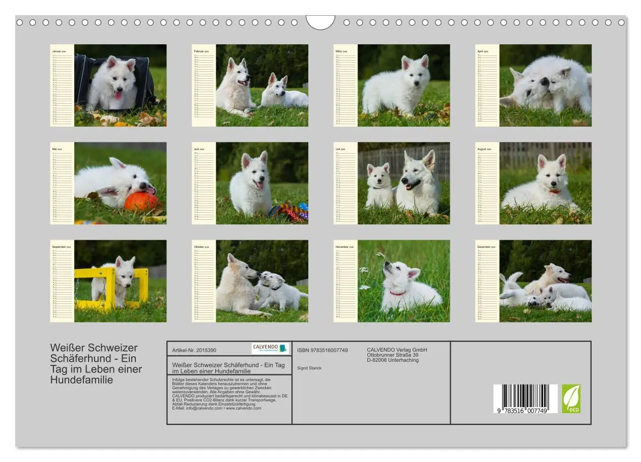 Bild: 9783516007749 | Weißer Schweizer Schäferhund - Ein Tag im Leben einer Hundefamilie...