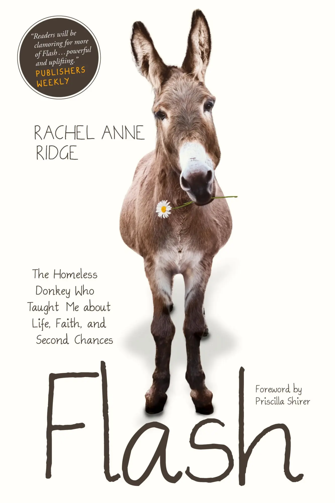 Cover: 9781414397849 | Flash | Rachel Anne Ridge | Taschenbuch | Kartoniert / Broschiert