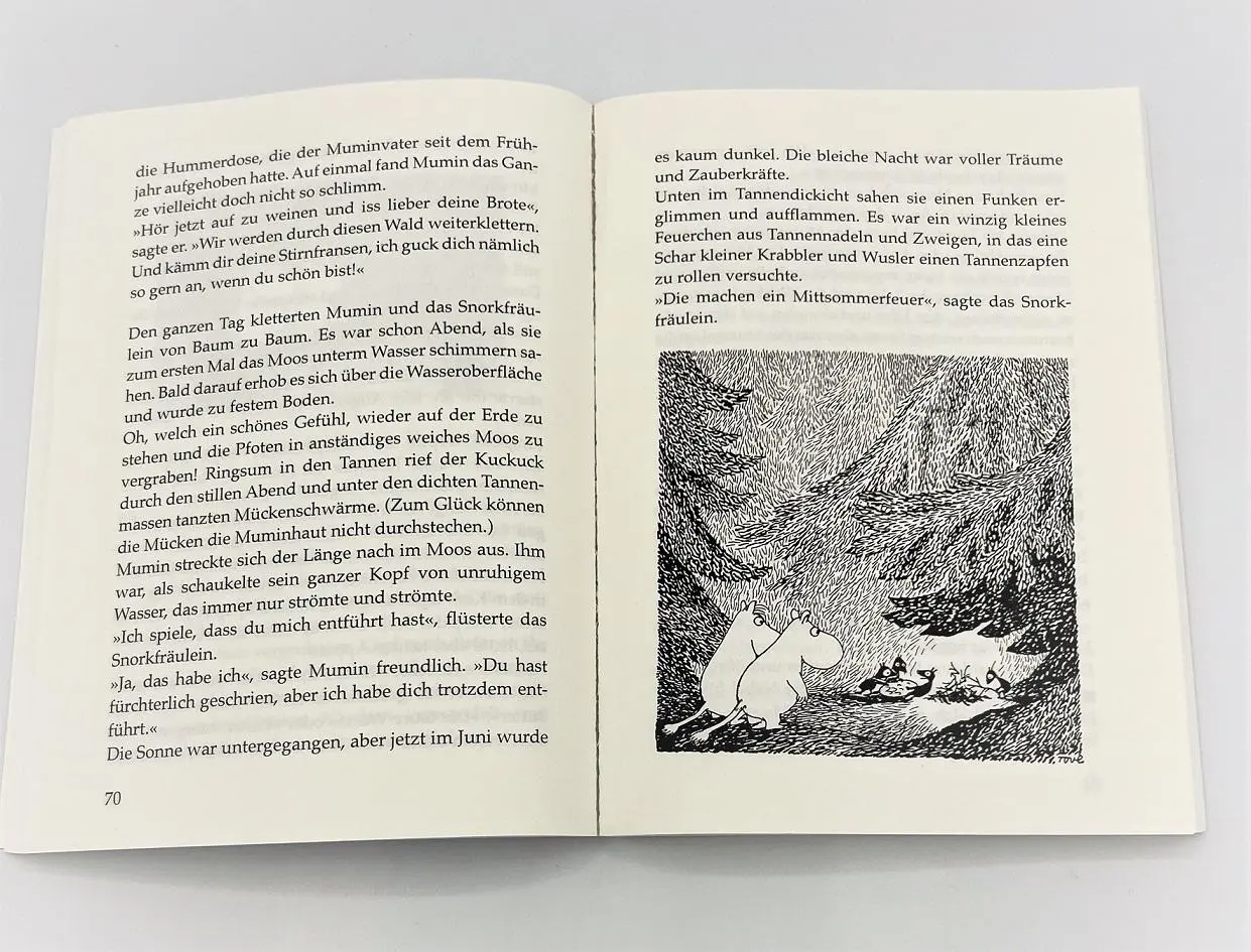 Bild: 9783401607849 | Die Mumins (5). Sturm im Mumintal | Tove Jansson | Taschenbuch | 2024