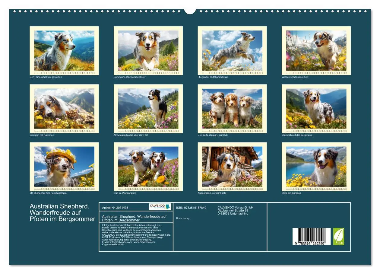 Bild: 9783516167849 | Australian Shepherd. Wanderfreude auf Pfoten im Bergsommer...