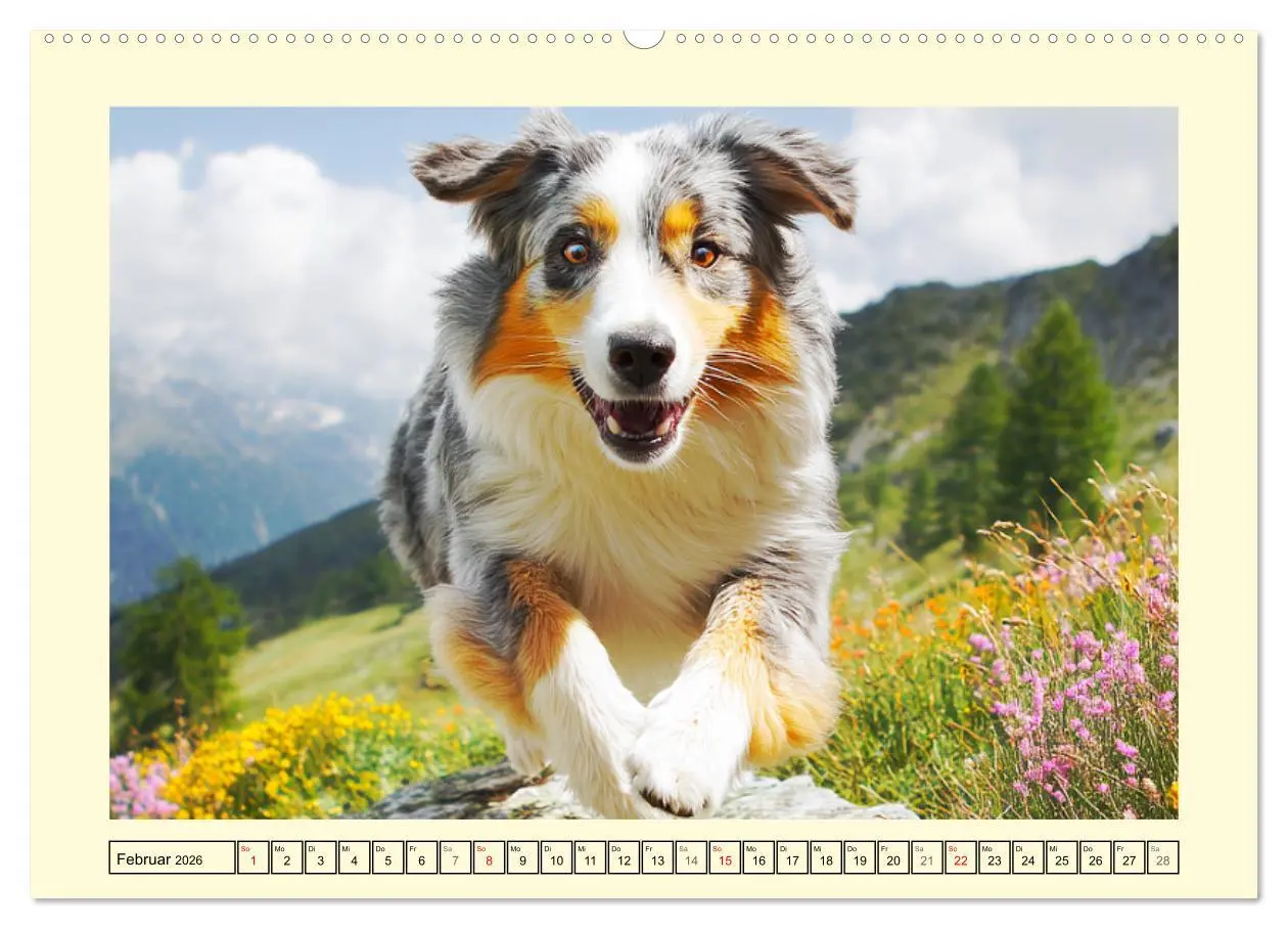 Bild: 9783516167849 | Australian Shepherd. Wanderfreude auf Pfoten im Bergsommer...