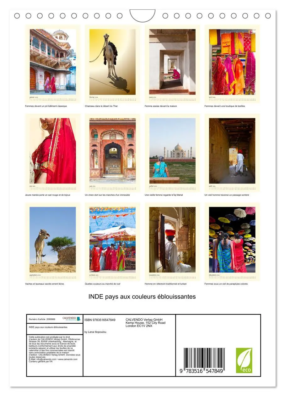 Bild: 9783516547849 | INDE pays aux couleurs éblouissantes (Calendrier mural 2026 DIN A4...