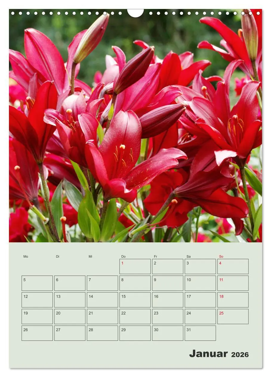 Bild: 9783516397949 | Lilien im Garten (Wandkalender 2026 DIN A3 hoch), CALVENDO...