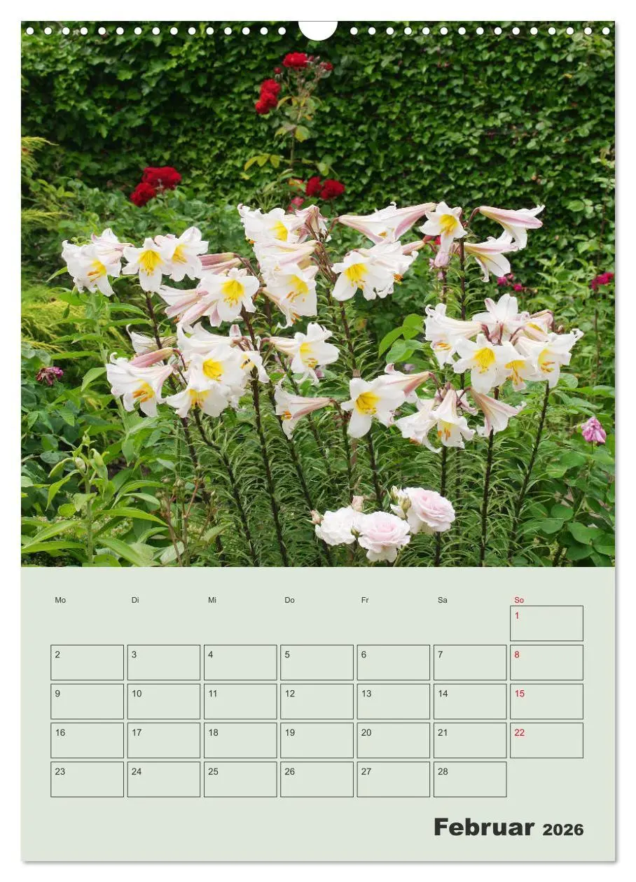Bild: 9783516397949 | Lilien im Garten (Wandkalender 2026 DIN A3 hoch), CALVENDO...