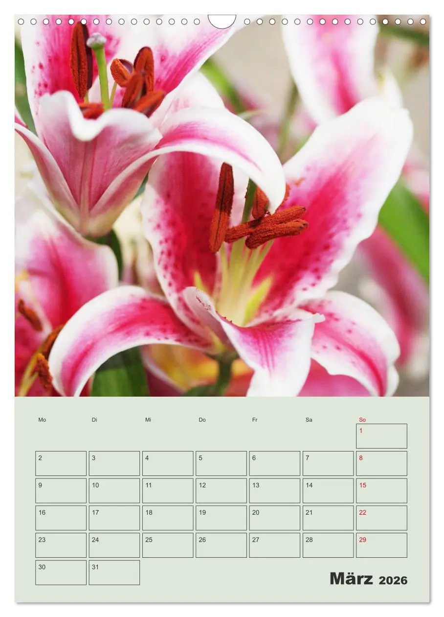 Bild: 9783516397949 | Lilien im Garten (Wandkalender 2026 DIN A3 hoch), CALVENDO...