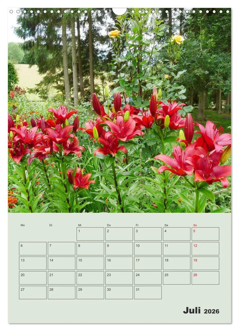 Bild: 9783516397949 | Lilien im Garten (Wandkalender 2026 DIN A3 hoch), CALVENDO...