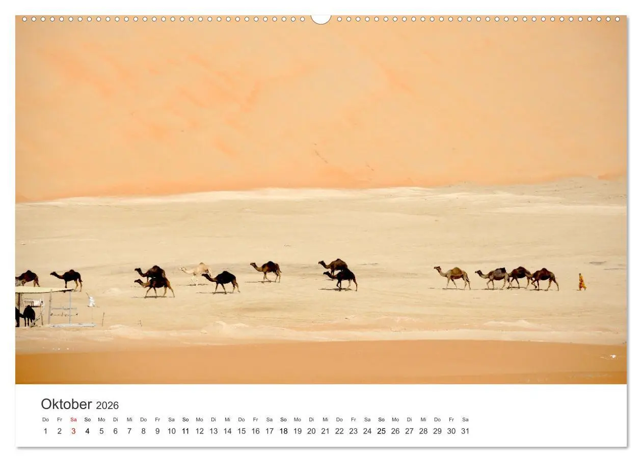 Bild: 9783457578049 | Kamele - die wahren Überlebenskünstler der Wüste. (Wandkalender...