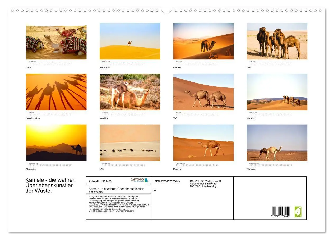 Bild: 9783457578049 | Kamele - die wahren Überlebenskünstler der Wüste. (Wandkalender...