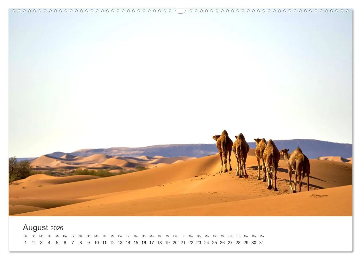 Bild: 9783457578049 | Kamele - die wahren Überlebenskünstler der Wüste. (Wandkalender...