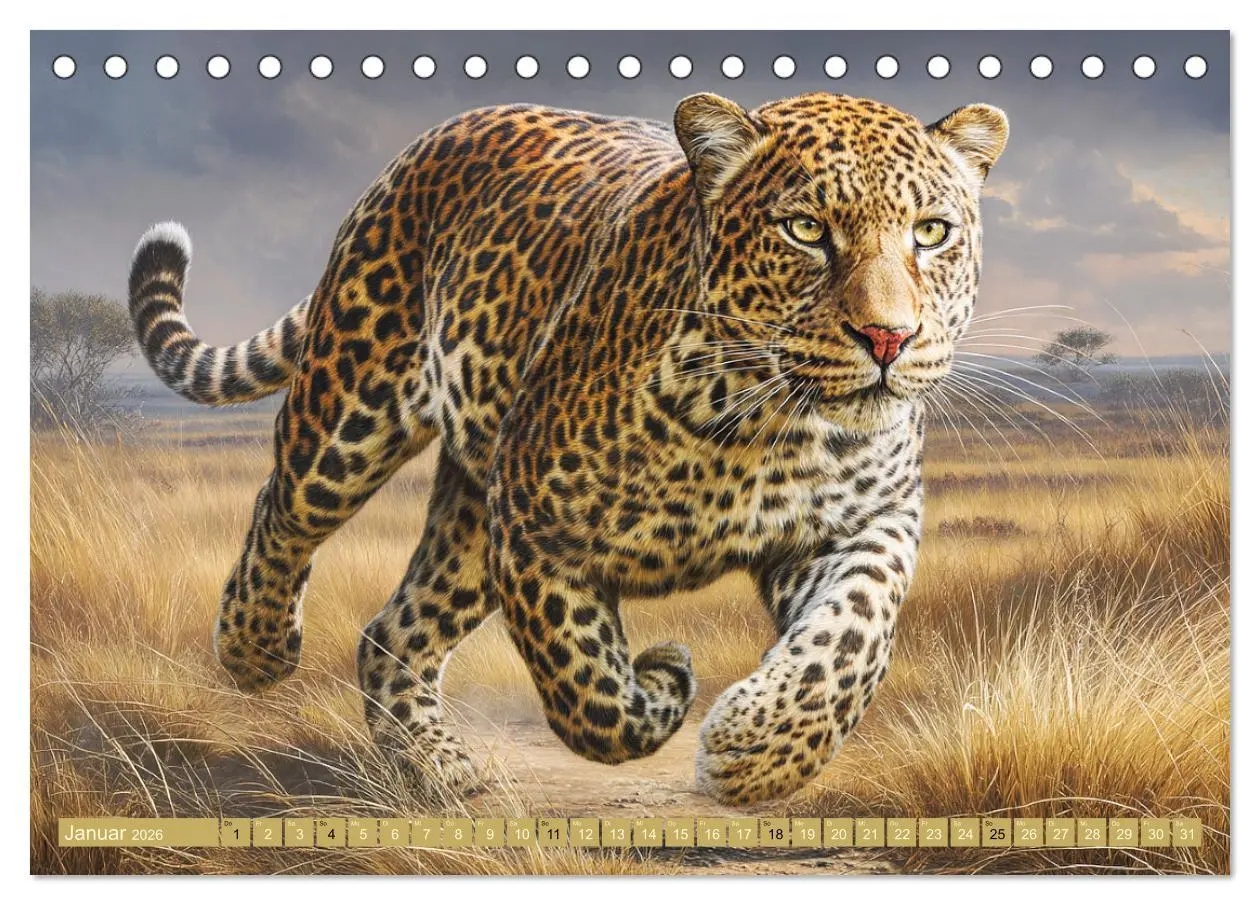 Bild: 9783457648049 | Leoparden. Meister der Jagd im seidigen Fleckenfell (Tischkalender...