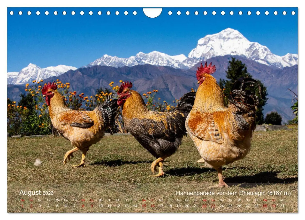 Bild: 9783457718049 | NEPAL - rund um die Annapurna (Wandkalender 2026 DIN A4 quer),...