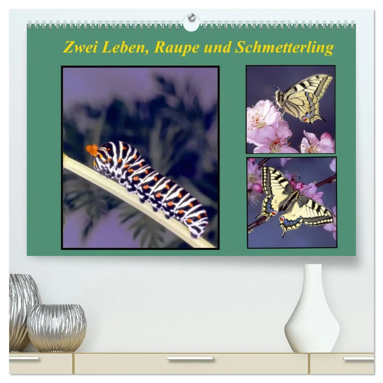 Cover: 9783457958049 | Zwei Leben, Raupe und Schmetterling (hochwertiger Premium...