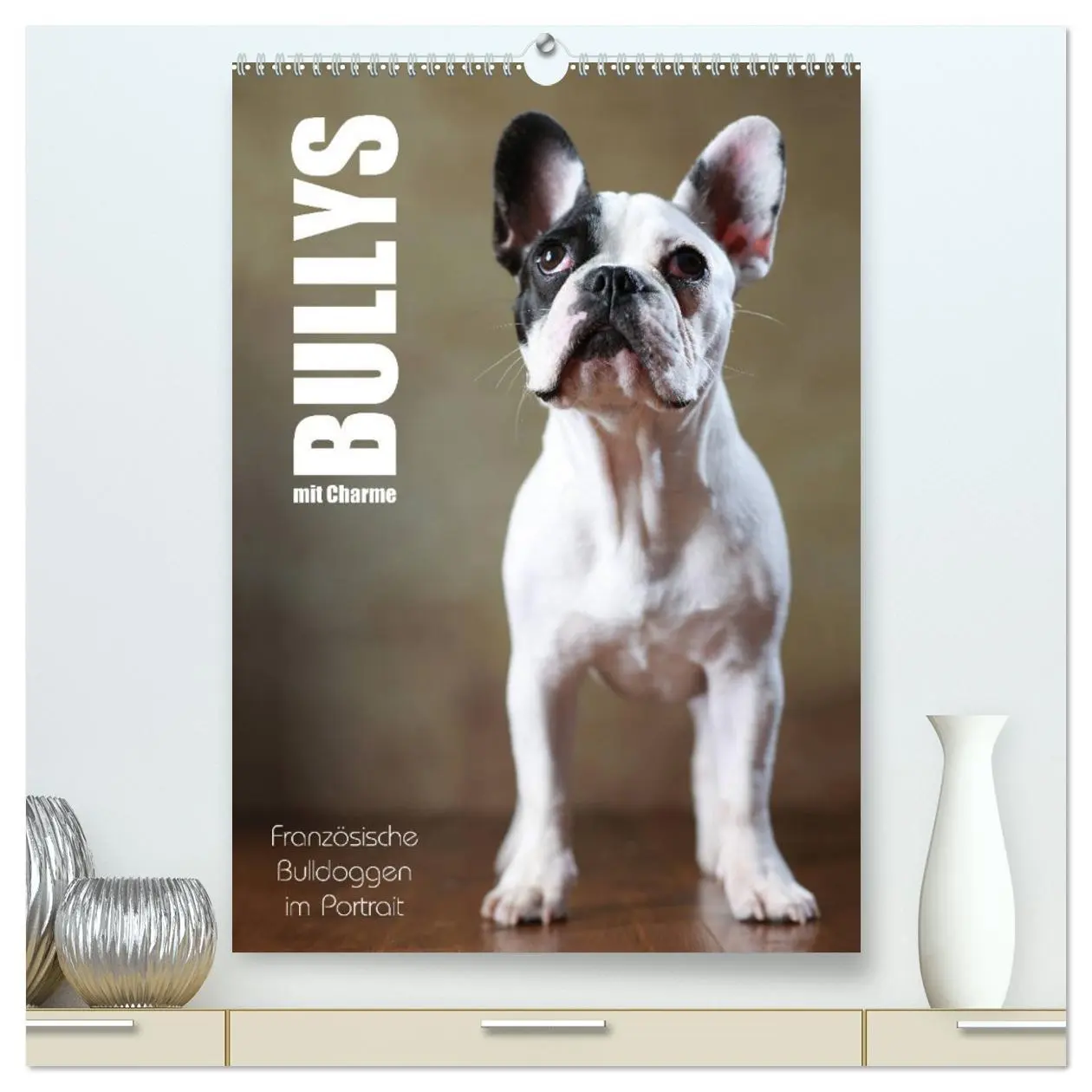 Cover: 9783516418149 | Bullys mit Charme - Französische Bulldoggen im Portrait...