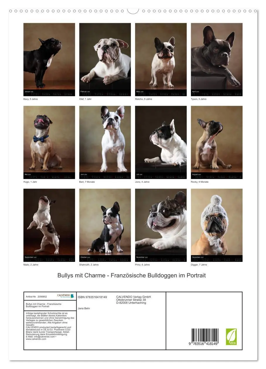 Bild: 9783516418149 | Bullys mit Charme - Französische Bulldoggen im Portrait...