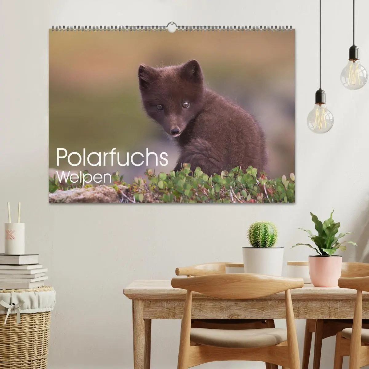 Bild: 9783516658149 | Polarfuchs-Welpen (Wandkalender 2026 DIN A2 quer), CALVENDO...
