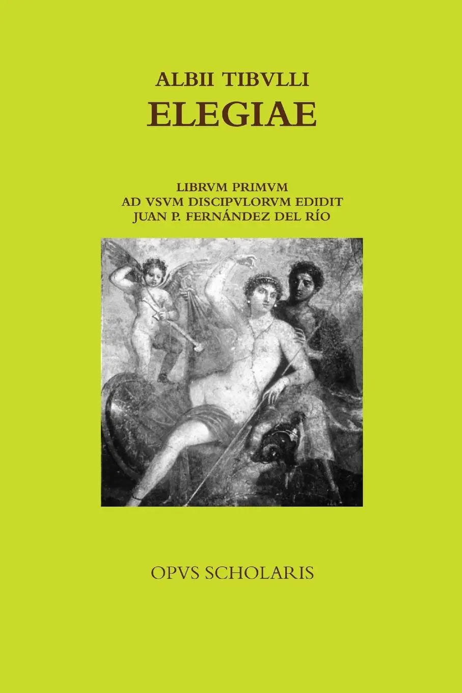 Cover: 9781291028249 | Tibulli Elegiae | Juan Pablo Fernández del Río | Taschenbuch | Latein