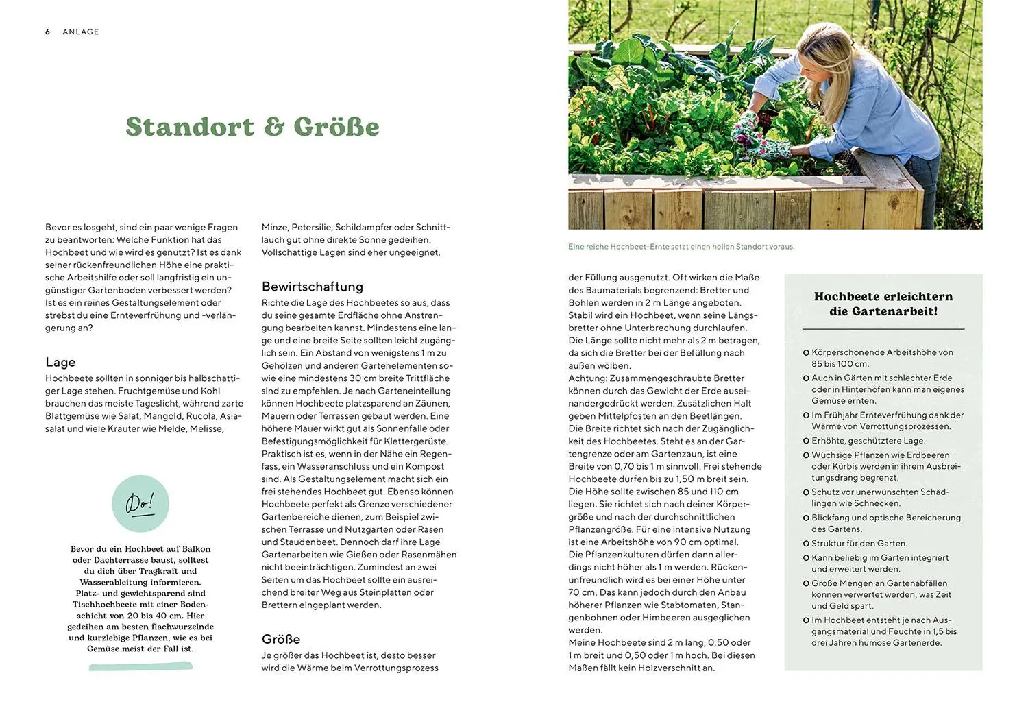 Bild: 9783440178249 | Hochbeete | Melanie Grabner | Taschenbuch | 96 S. | Deutsch | 2024