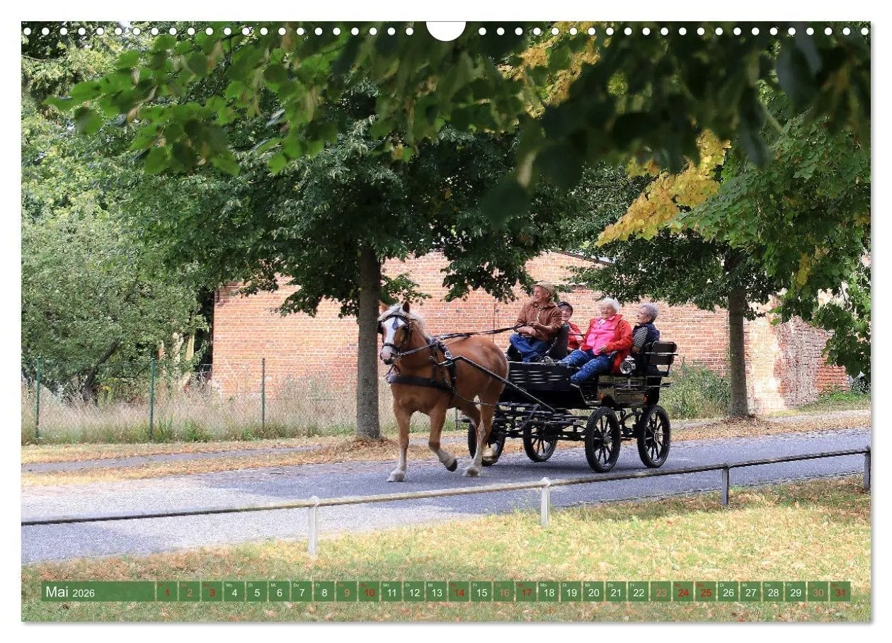 Bild: 9783457248249 | Brandenburg - Schöne Ausflugsziele nördlich von Berlin...