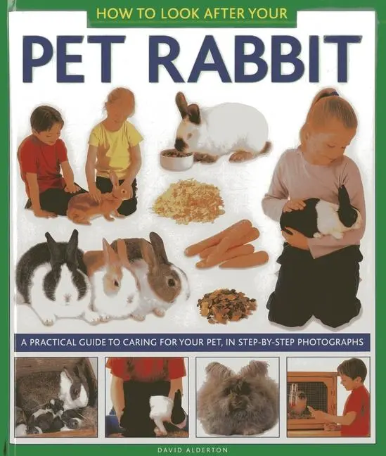 Cover: 9781843228349 | How to Look After Your Pet Rabbit | David Alderton | Taschenbuch