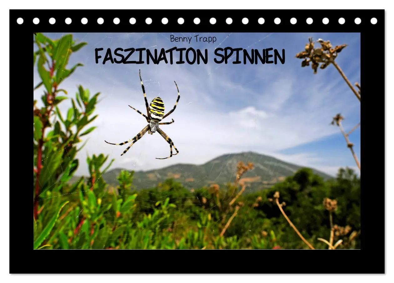 Cover: 9783457928349 | Faszination Spinnen (Tischkalender 2026 DIN A5 quer), CALVENDO...