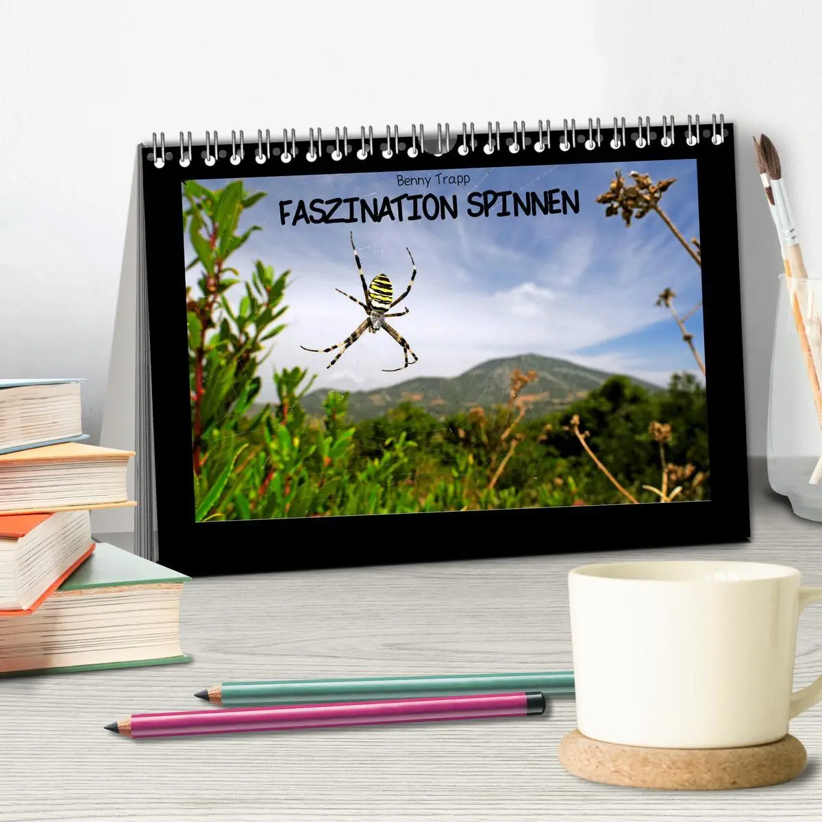 Bild: 9783457928349 | Faszination Spinnen (Tischkalender 2026 DIN A5 quer), CALVENDO...